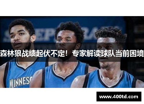 森林狼战绩起伏不定！专家解读球队当前困境